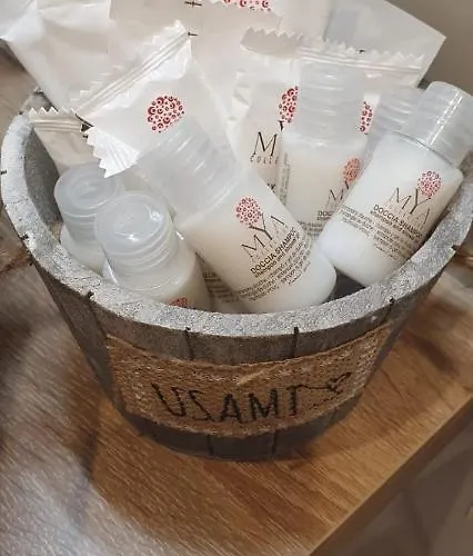 住宿加早餐酒店 Prisco House 罗马